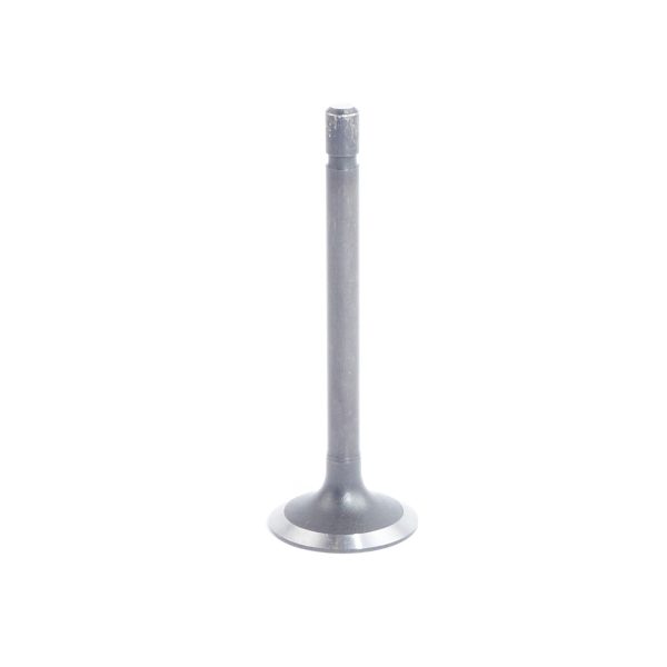 Inlaatklep Beta Marine Beta 16 | Beta 25 – Phasor K2-4.5