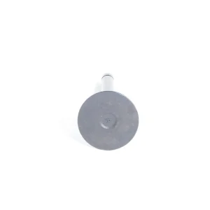 Inlaatklep Beta Marine Beta 50 – Nanni N4.50