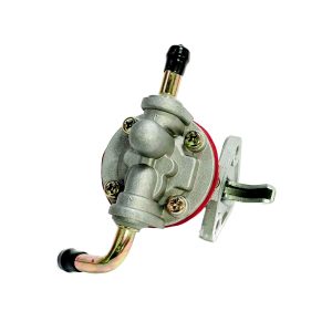 Brandstofopvoerpomp Beta Marine Beta 16 – Phasor K2-4.5