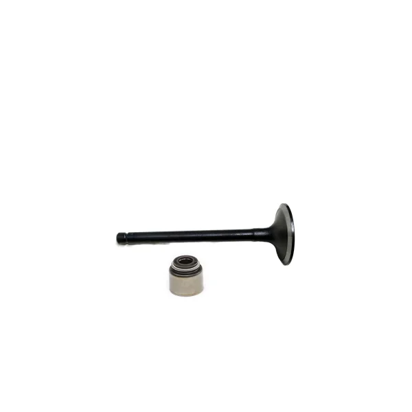 Inlaatklep Yanmar 2YM15 | 3YM20
