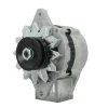 Dynamo Yanmar 2GM 3GM 4JH 4LH 12V 55A